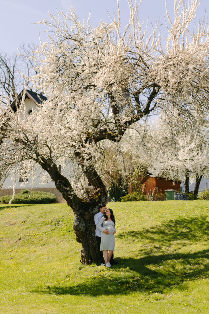 Susanna Hribernigg Photography